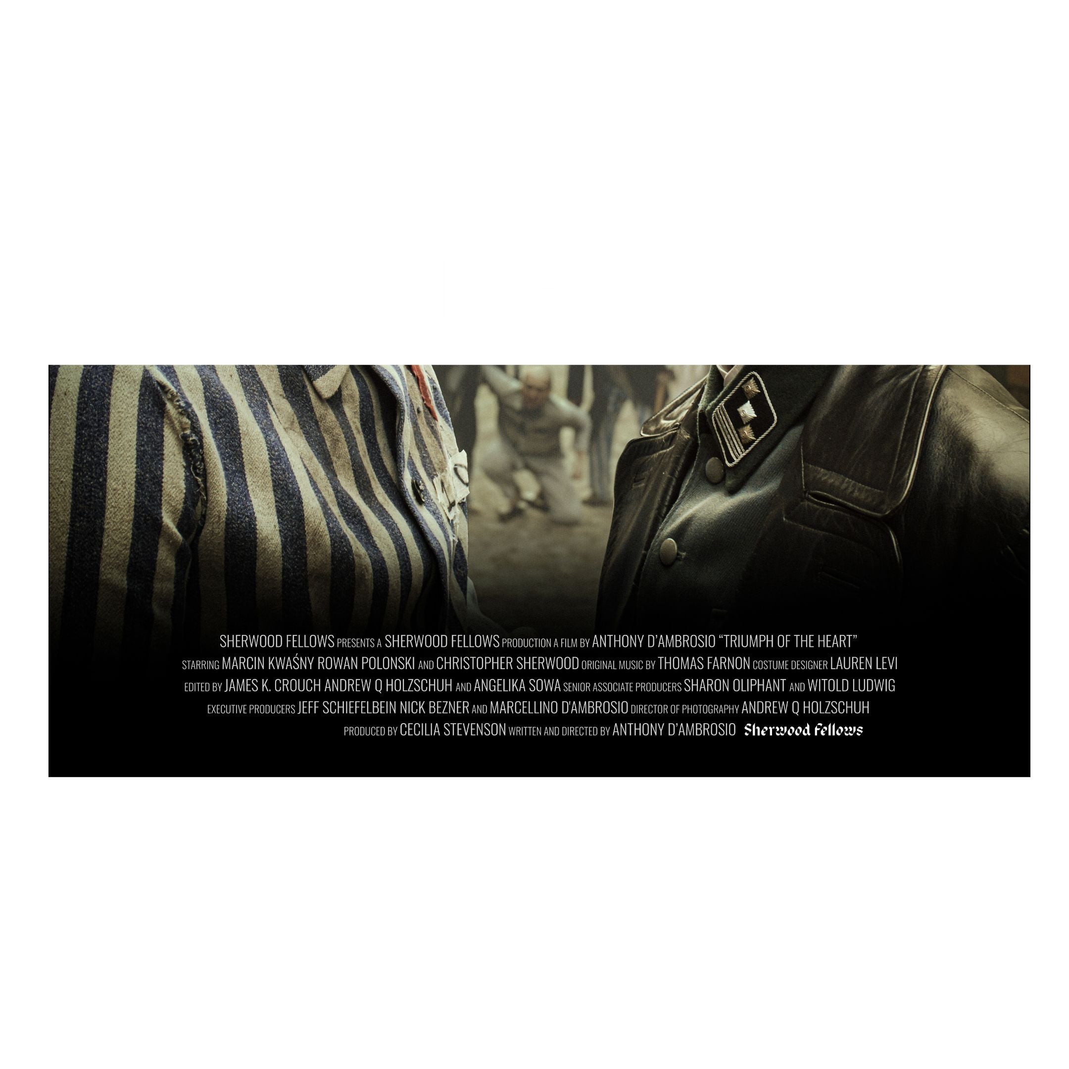 "Triumph of the Heart" - 11x17 Movie Poster